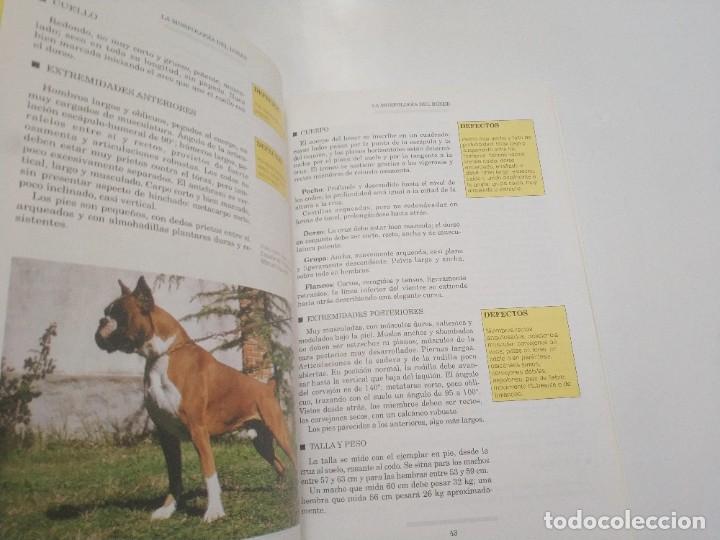 Libros de segunda mano: EL LIBRO DE EL BOXER.- MARIO PERRICONE - Foto 4