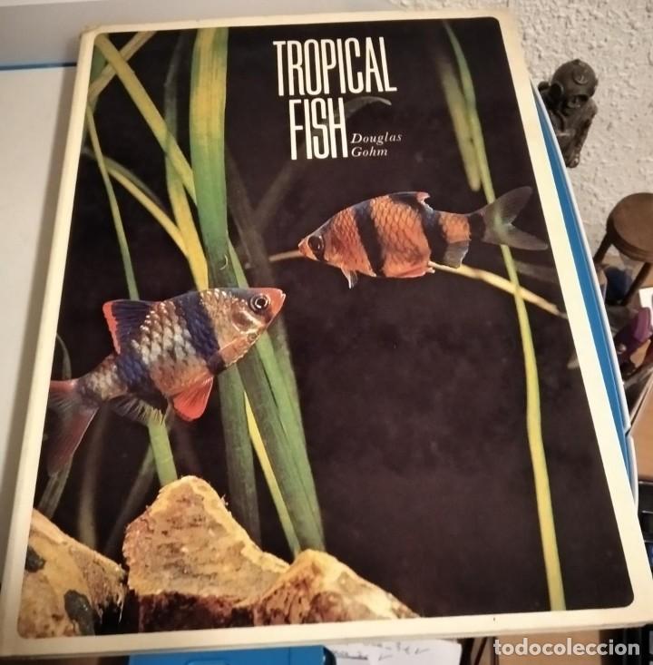 Libros de segunda mano: TROPICAL FISH / GOHM, Douglas - Foto 1