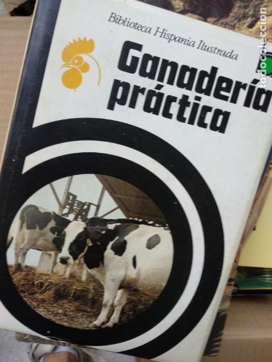 Libros de segunda mano: COLECCION BIBLIOTECA HISPANIA ILUSTRADA GANADERIA PRACTICA - Foto 1