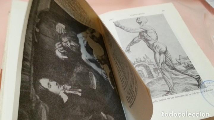 Libros de segunda mano: Libro. La eclosi&oacute;n del Renacimiento. A&ntilde;o 1967. - Foto 8