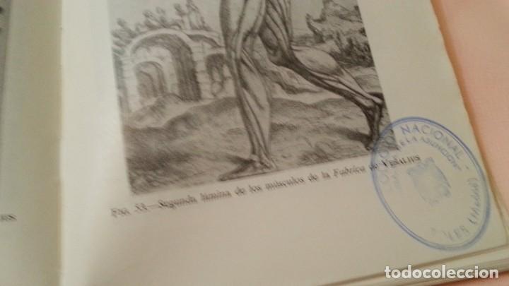 Libros de segunda mano: Libro. La eclosi&oacute;n del Renacimiento. A&ntilde;o 1967. - Foto 9