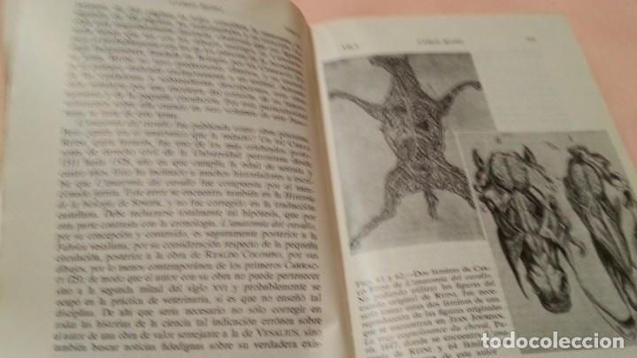 Libros de segunda mano: Libro. La eclosi&oacute;n del Renacimiento. A&ntilde;o 1967. - Foto 10