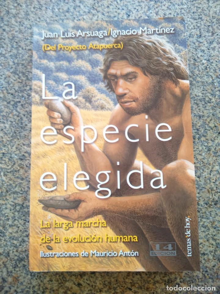 Libros de segunda mano: LA ESPECIE ELEGIDA -- LA LARGA MARCHA DE LA EVOLUCION HUMANA ( PROYECTO ATAPUERTA ) - Foto 1