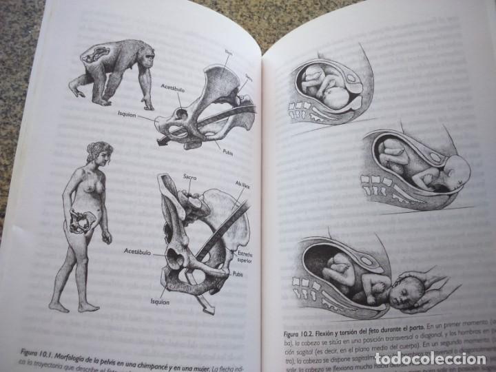 Libros de segunda mano: LA ESPECIE ELEGIDA -- LA LARGA MARCHA DE LA EVOLUCION HUMANA ( PROYECTO ATAPUERTA ) - Foto 2