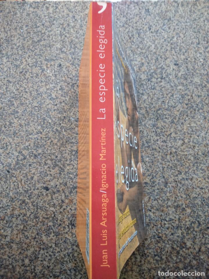 Libros de segunda mano: LA ESPECIE ELEGIDA -- LA LARGA MARCHA DE LA EVOLUCION HUMANA ( PROYECTO ATAPUERTA ) - Foto 4