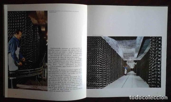 Libros de segunda mano: Imagen y presencia de Codorni&uacute; - Foto 5