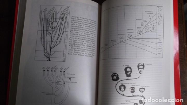 Libros de segunda mano: La interpretacion de los fosiles. Roger lewin. edt planeta - Foto 4