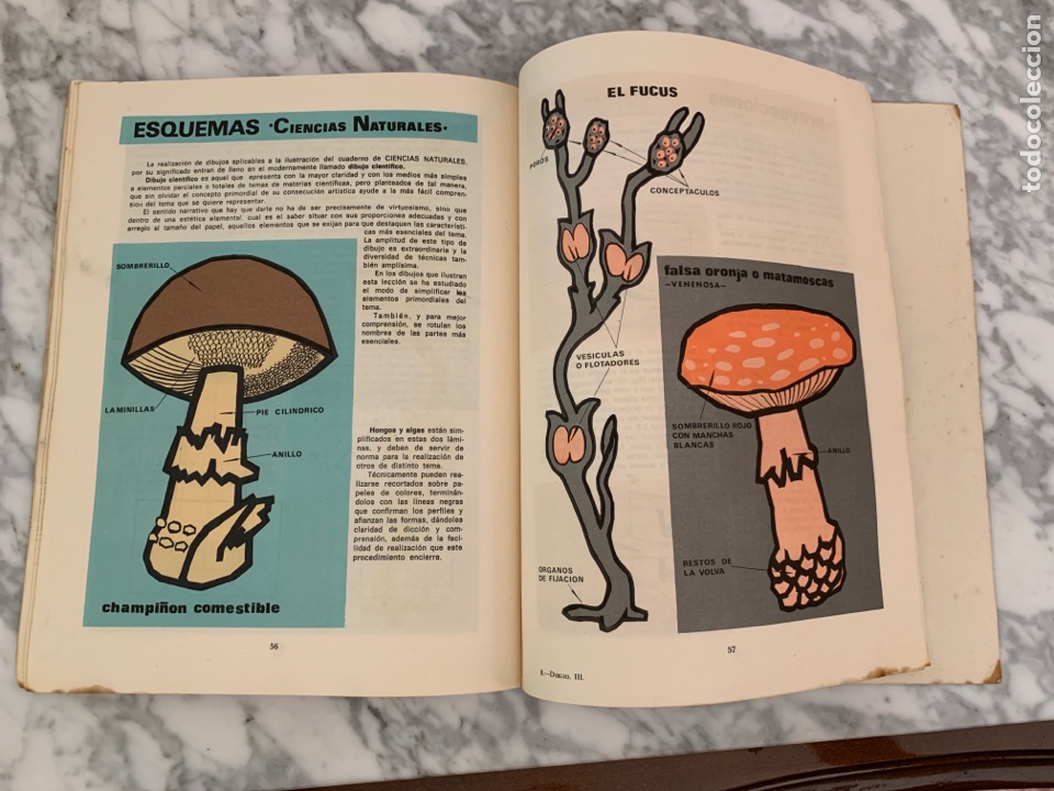 Libros de segunda mano: Libro Dibujo Tercer Curso 1968 - Foto 4