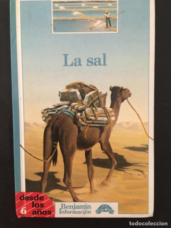 Libros de segunda mano: LA SAL, DOMINIQUE JOLY - Foto 1