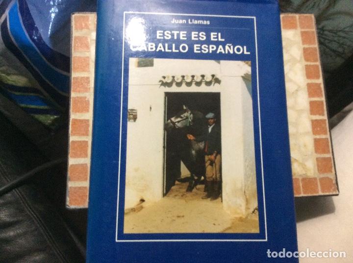 Libros de segunda mano: Este es el caballo espa&ntilde;ol. Juan Llamas - Foto 1
