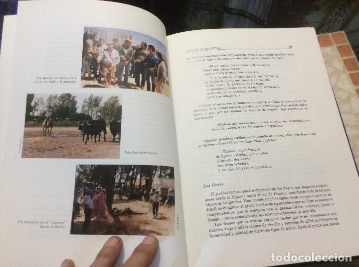 Libros de segunda mano: Este es el caballo espa&ntilde;ol. Juan Llamas - Foto 3