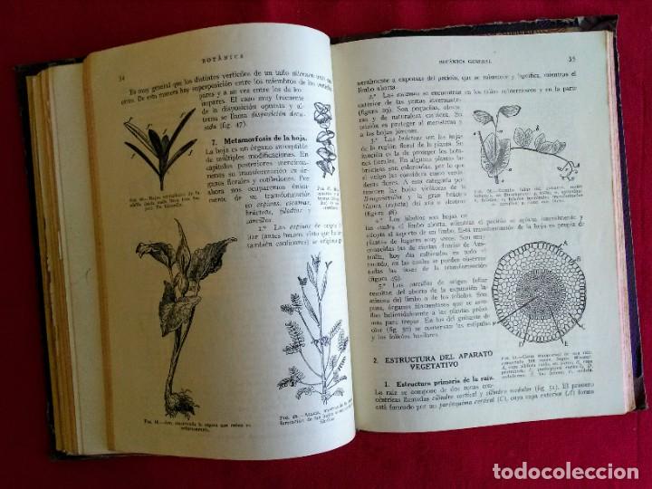 Libros de segunda mano: Libro antiguo Geolog&iacute;a y Bot&aacute;nica 1954 - Foto 4