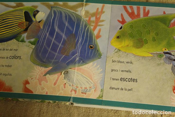 Libros de segunda mano: EL MAR TOCA TOCA MAURICE PLEDGER - Foto 3