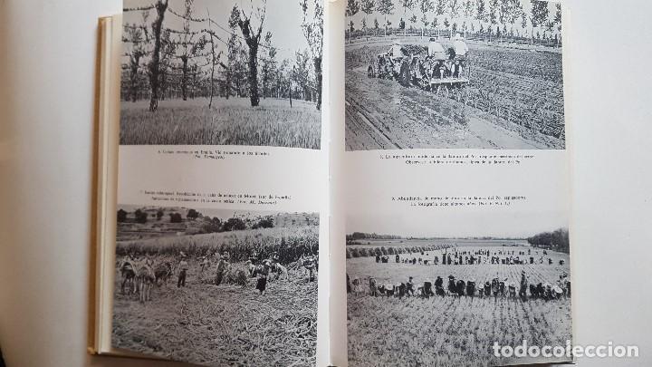 Libros de segunda mano: EUROPA - MAX DERRUAU - 1&ordf; EDIC ESPA&Ntilde;OLA 1965 - - Foto 2