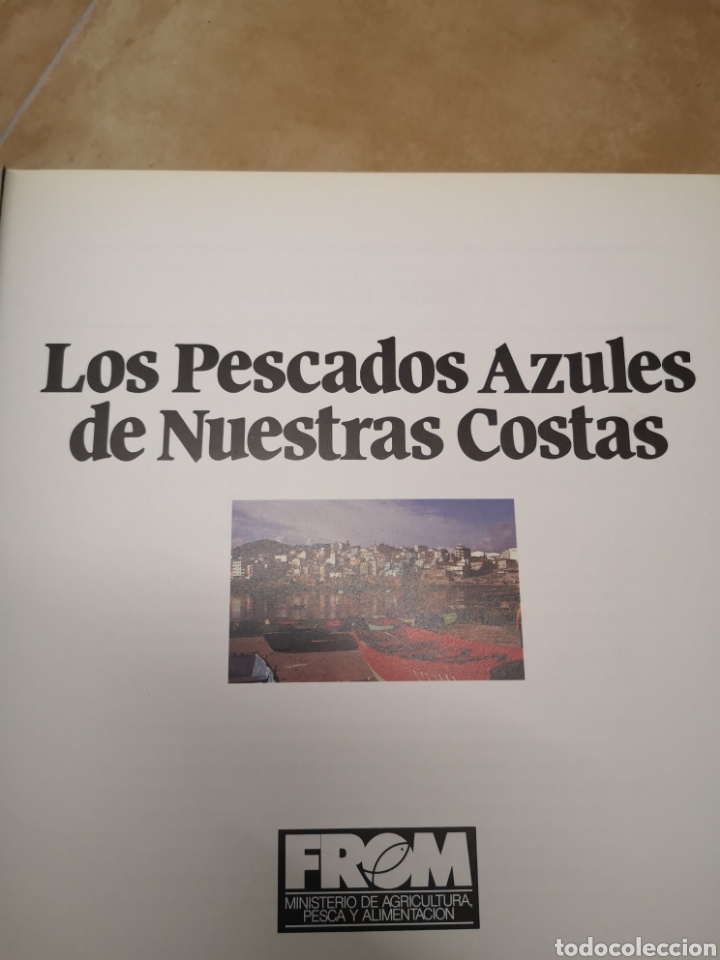 Libros de segunda mano: Los pescados azules de nuestras costas - Foto 2