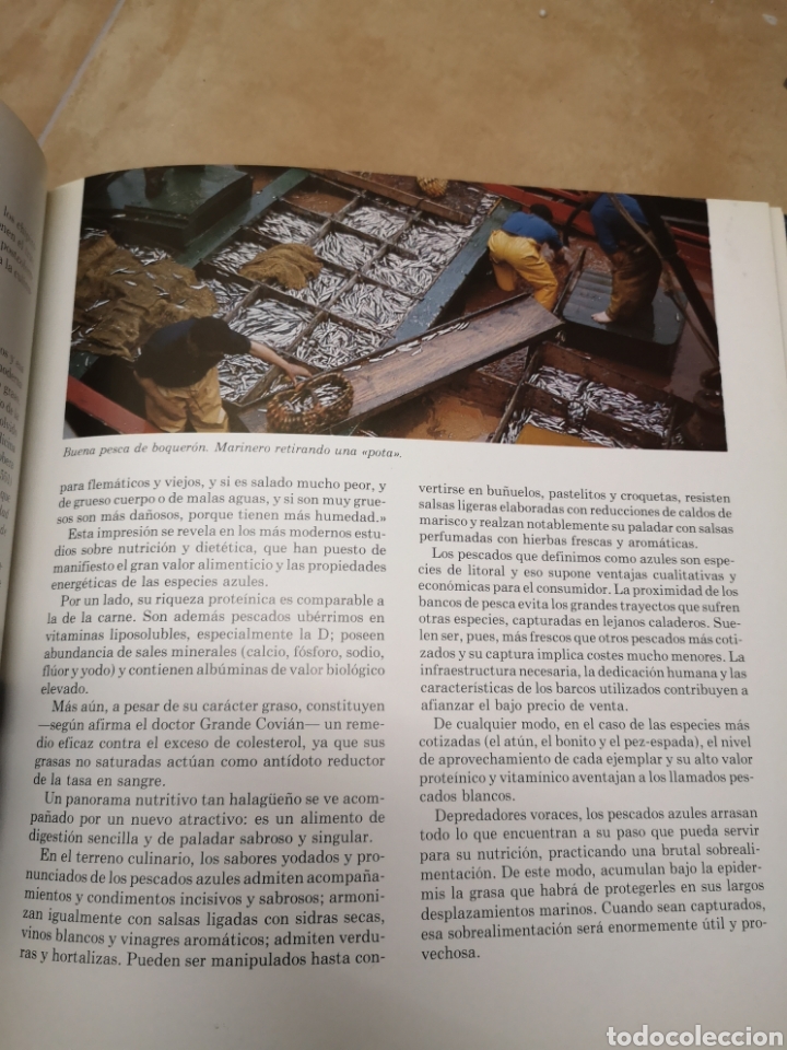 Libros de segunda mano: Los pescados azules de nuestras costas - Foto 4