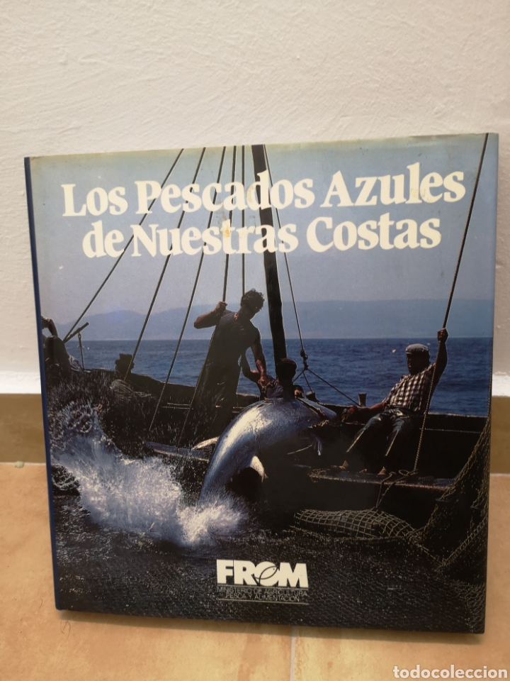 Libros de segunda mano: Los pescados azules de nuestras costas - Foto 1