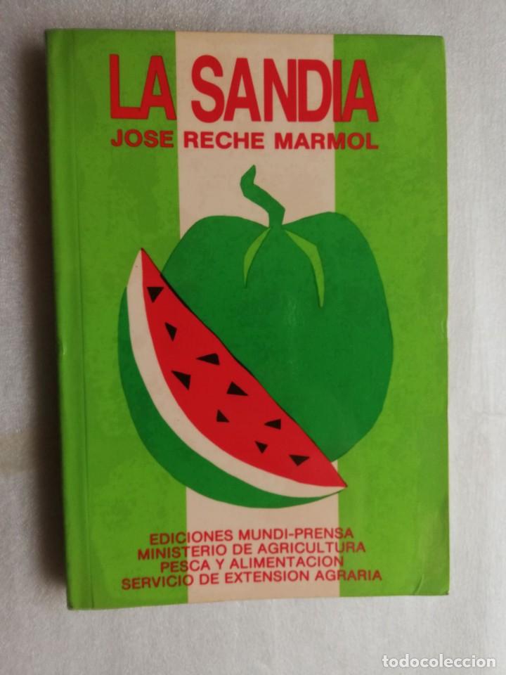 Libros de segunda mano: LA SANDIA - JOSE RECHE MARMOL - Foto 1