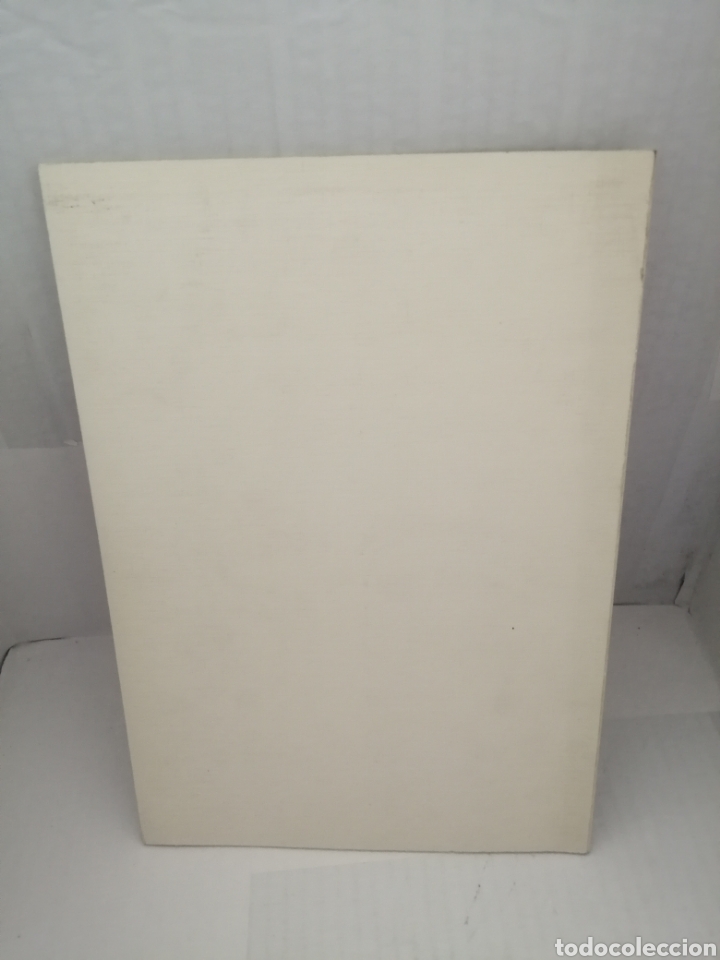 Libros de segunda mano: Historia de los escudos de la Villa de Madrid (Primera edici&oacute;n) - Foto 2