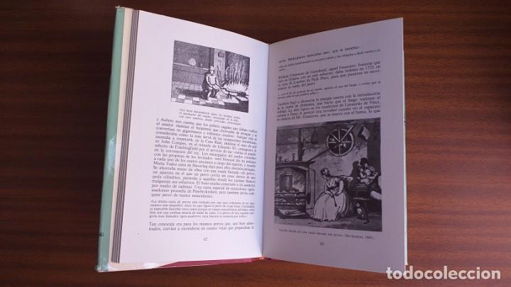 Libros de segunda mano: Los fuegos del hogar --- Lawrence Wright - Foto 20
