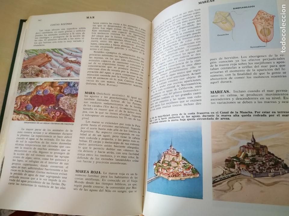 Libros de segunda mano: Ciencias Naturales 4 Tomos - Foto 4