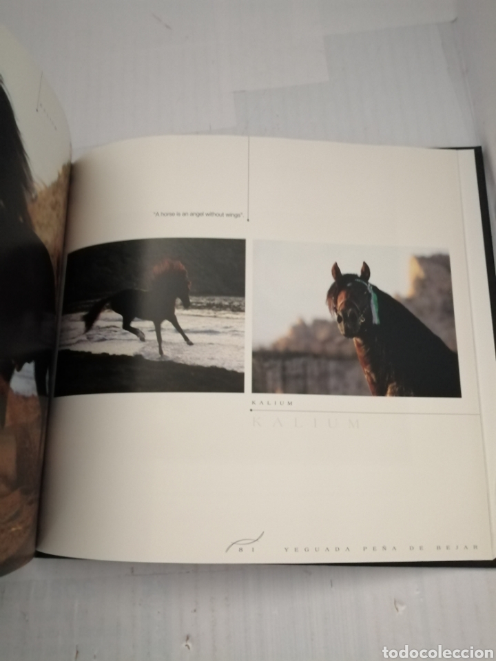 Libros de segunda mano: YEGUADA PE&Ntilde;A DE B&Eacute;JAR - Foto 3