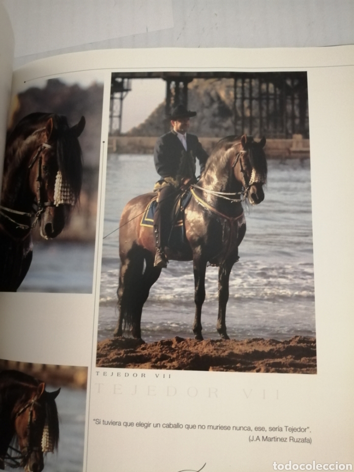 Libros de segunda mano: YEGUADA PE&Ntilde;A DE B&Eacute;JAR - Foto 5