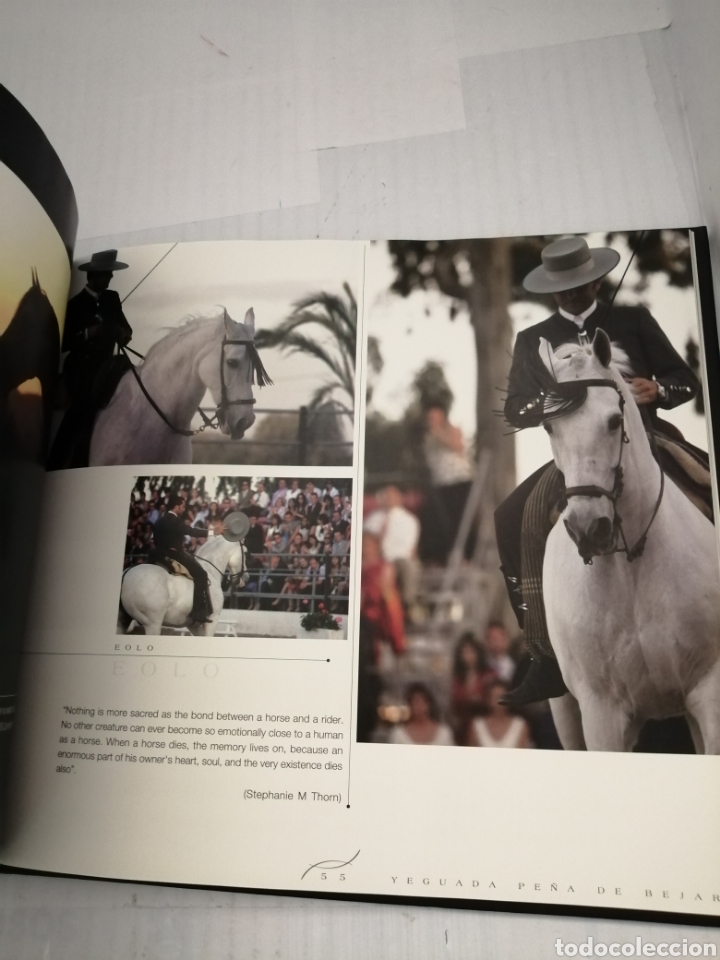 Libros de segunda mano: YEGUADA PE&Ntilde;A DE B&Eacute;JAR - Foto 6