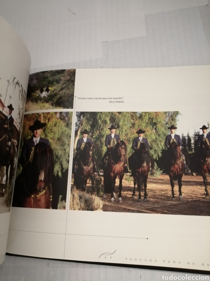 Libros de segunda mano: YEGUADA PE&Ntilde;A DE B&Eacute;JAR - Foto 7