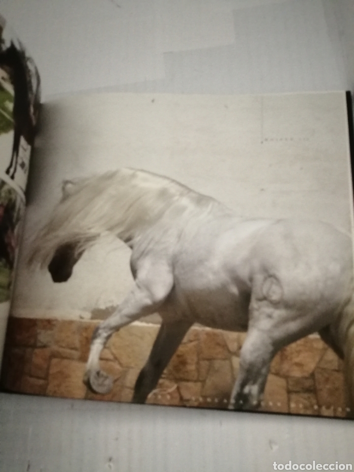 Libros de segunda mano: YEGUADA PE&Ntilde;A DE B&Eacute;JAR - Foto 8