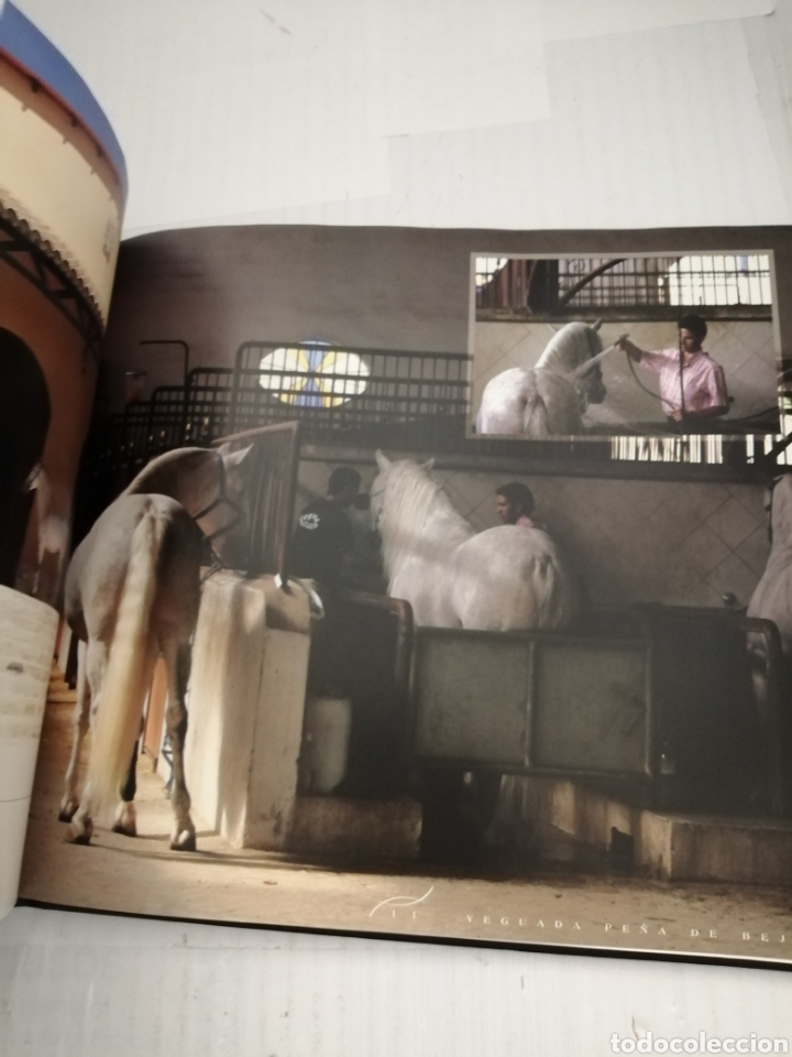 Libros de segunda mano: YEGUADA PE&Ntilde;A DE B&Eacute;JAR - Foto 9