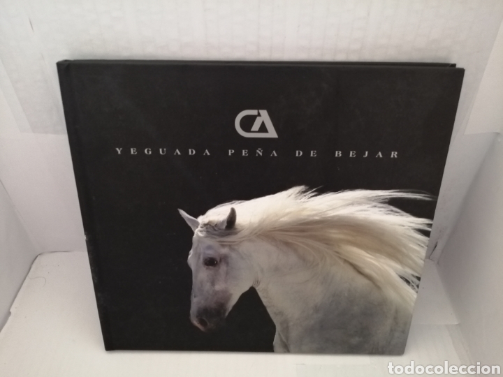 Libros de segunda mano: YEGUADA PE&Ntilde;A DE B&Eacute;JAR - Foto 1