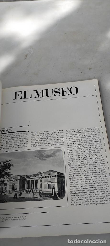 Libros de segunda mano: EL PRADO - EL MUNDO DE LOS MUSEOS - CODEX - ESQ706 - Foto 9
