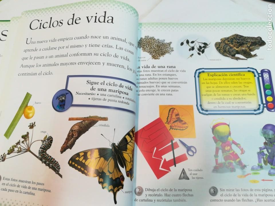 Libros de segunda mano: DAVID GLOVER &iquest;C&oacute;mo crece?. Experimenta y comprueba tu mismo S1043AT - Foto 3