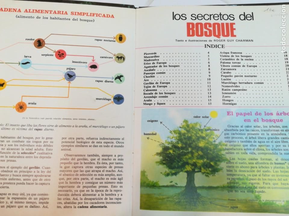 Libros de segunda mano: Los secretos del bosque S1049T - Foto 2