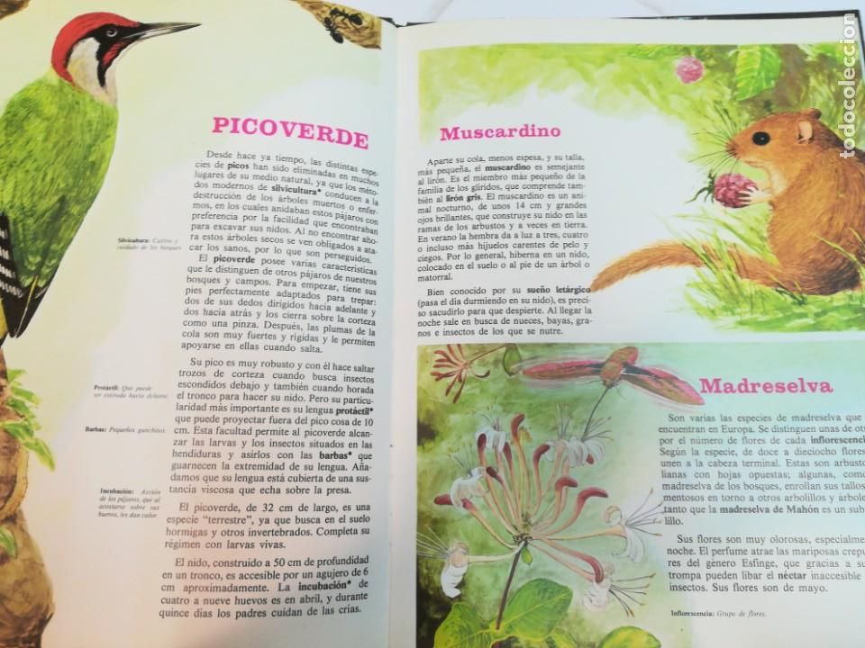 Libros de segunda mano: Los secretos del bosque S1049T - Foto 3