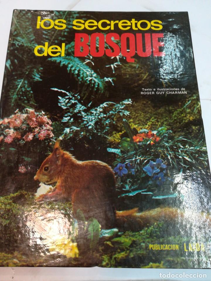 Libros de segunda mano: Los secretos del bosque S1049T - Foto 1