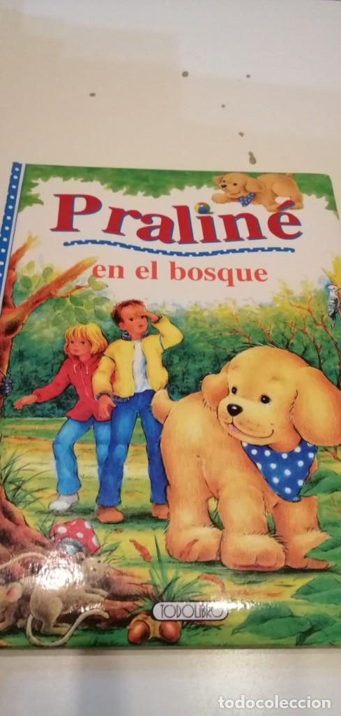 Libros de segunda mano: GG-BARR LIBRO PRALINE - Jean Mouthier EN EL BOSQUE - Foto 1
