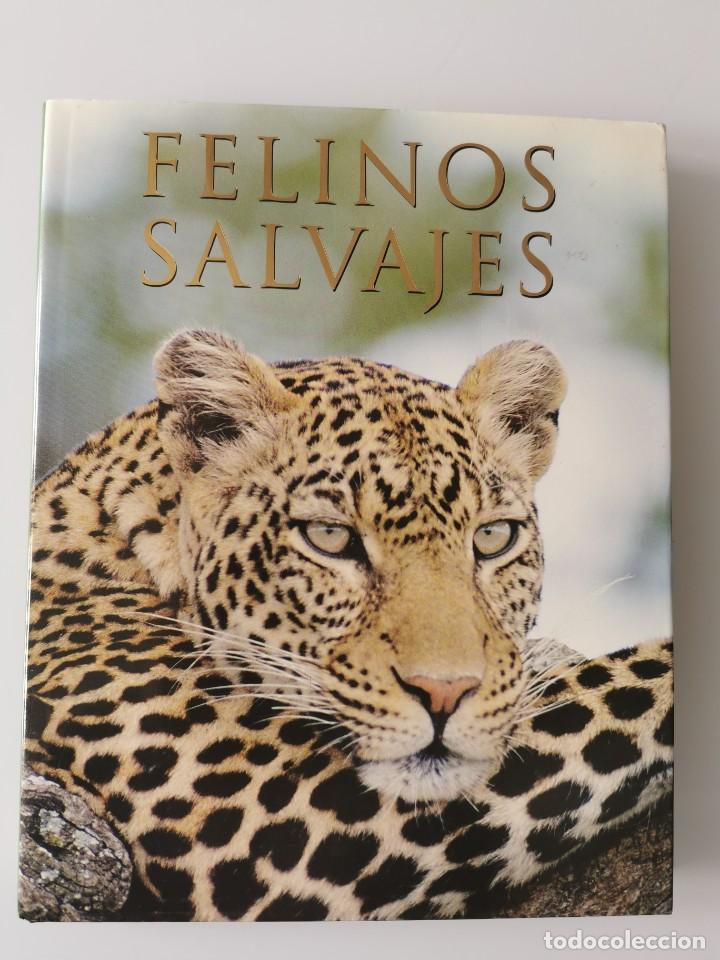 Libros de segunda mano: FELINOS SALVAJES - Foto 1