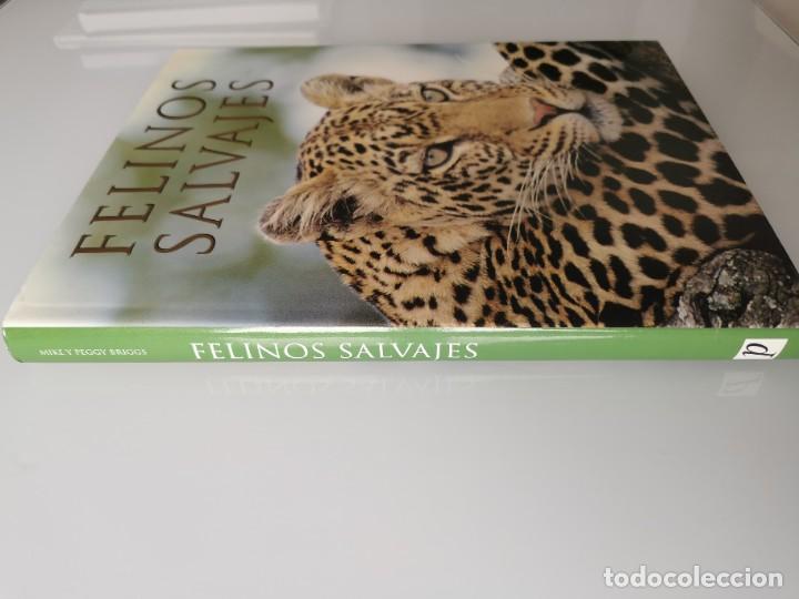 Libros de segunda mano: FELINOS SALVAJES - Foto 2