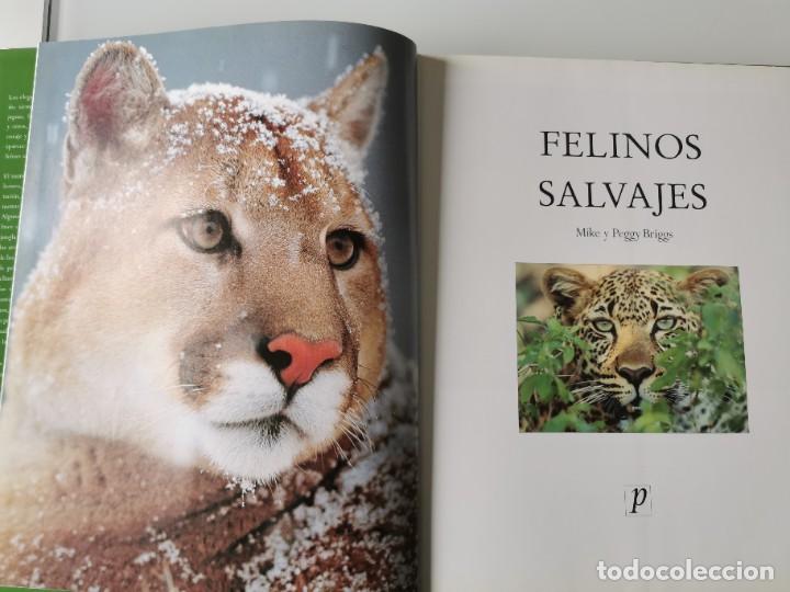 Libros de segunda mano: FELINOS SALVAJES - Foto 3
