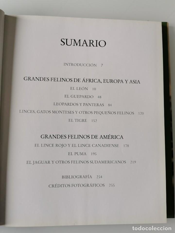 Libros de segunda mano: FELINOS SALVAJES - Foto 4
