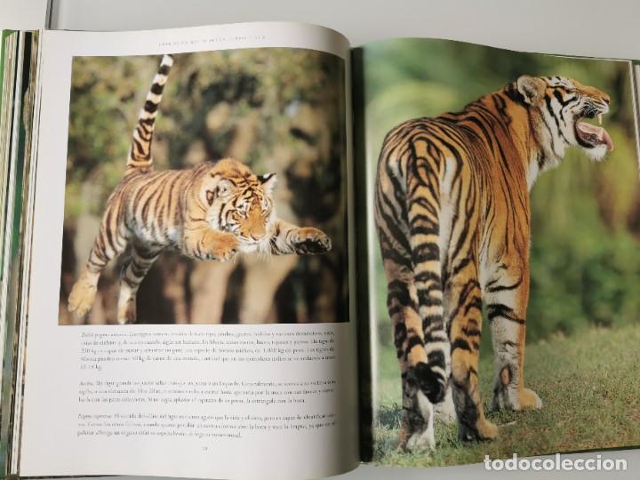 Libros de segunda mano: FELINOS SALVAJES - Foto 9