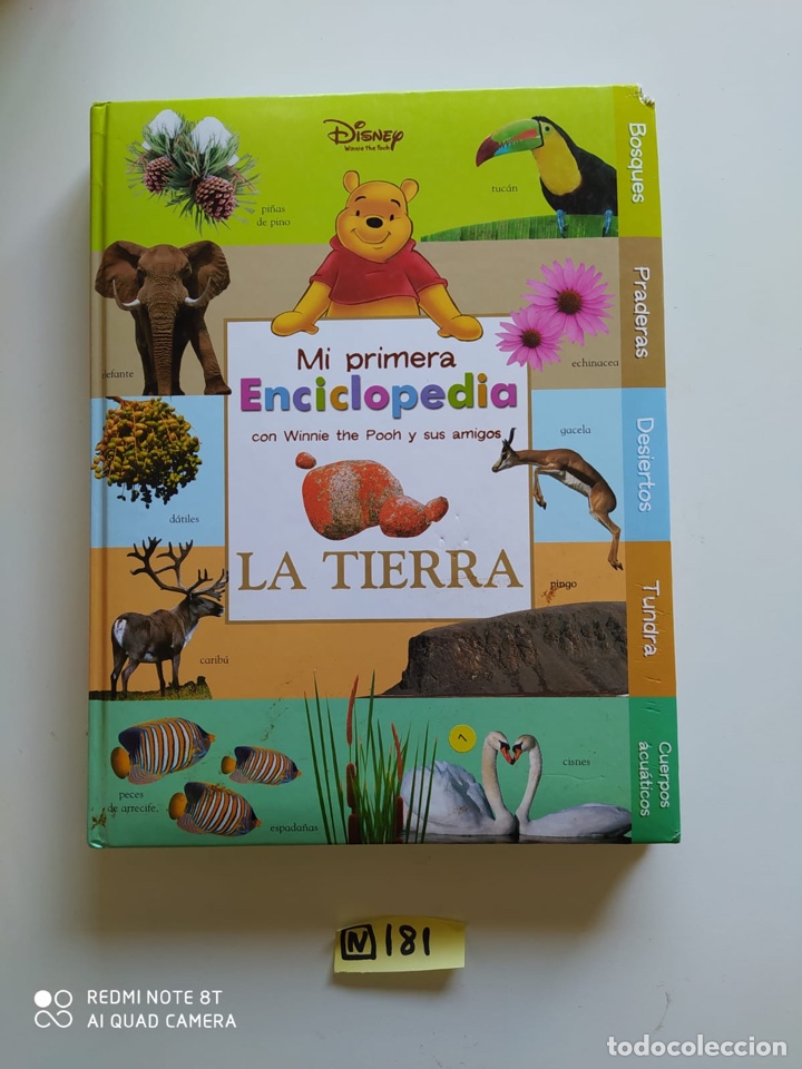Libros de segunda mano: Mi primera enciclopedia la tierra - Foto 1