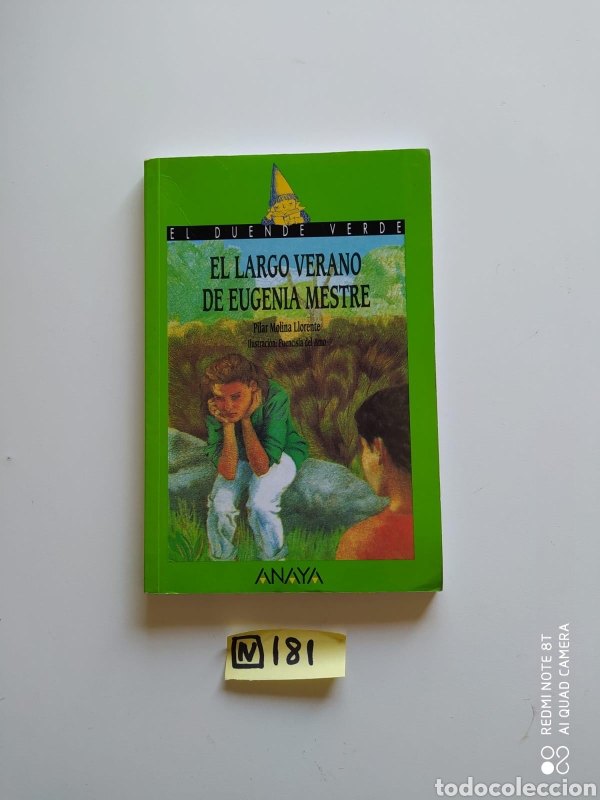 Libros de segunda mano: El Largo Verano De Eugenia Mestre - Foto 1
