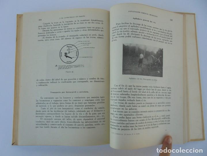Libros de segunda mano: EL BOSQUE DE LA GUINEA EXPLORACION Y EXPLOTACION. J.M. CAPDEVIELLE. EDITORIAL DOSSAT 1947 - Foto 17