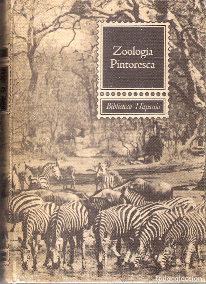 Libros de segunda mano: ZOOLOG&Iacute;A PINTORESCA - ANGEL CABRERA - Foto 1
