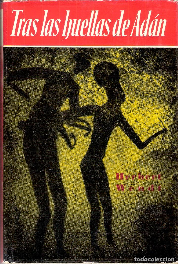 Libros de segunda mano: TRAS LAS HUELLAS DE AD&Aacute;N - HERBERT WENDT - Foto 1