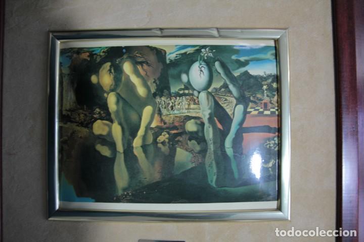 Libros de segunda mano: DALI METAMORFOSIS DE NARCISO - Foto 3