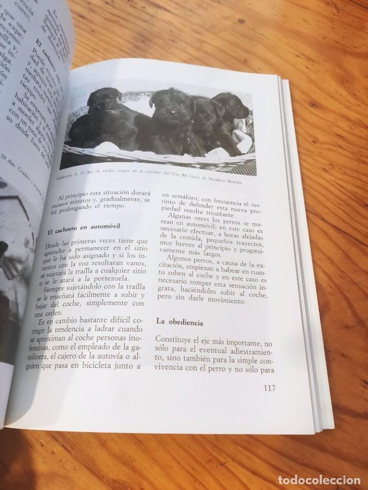 Libros de segunda mano: LOS SCHNAUZER. BONANNO Fabrizio. Editorial de Vecchi. - Foto 7